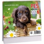 Pes věrný přítel mini 2026 - stolní kalendář