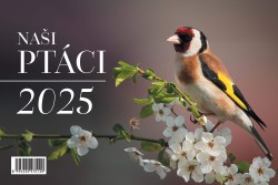 Naši ptáci 2025 - stolní kalendář