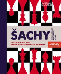 Šachy. Jak pochopit hru pomocí