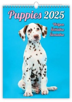 Puppies 2025 - nástěnný kalendář