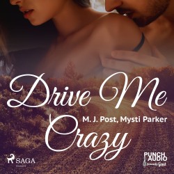 Drive Me Crazy (EN)