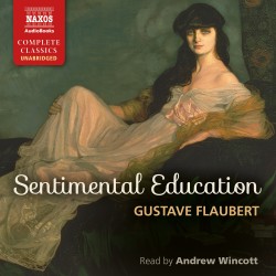 Sentimental Education (EN)