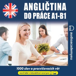 Angličtina do práce A1-B1