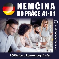 Nemčina  do práce A1-B1