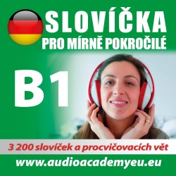 Německá slovíčka B1