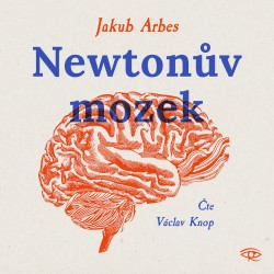 Newtonův mozek