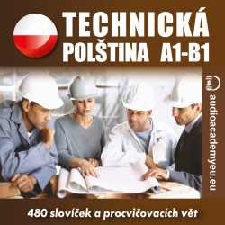 Technická polština