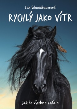 Rychlý jako vítr: Jak to všechno začalo