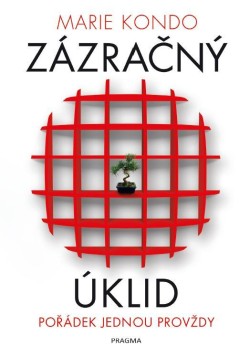 Zázračný úklid