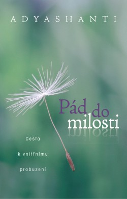 Pád do milosti