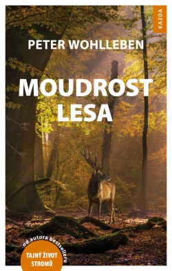 Moudrost lesa