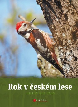 Rok v českém lese