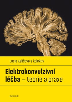 Elektrokonvulzivní léčba – teorie a praxe