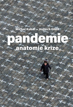 Pandemie: anatomie krize