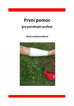 První pomoc pro pomáhající profese