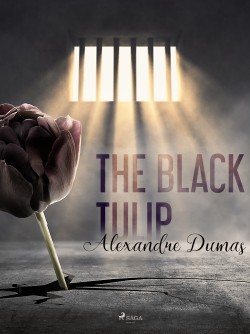 The Black Tulip