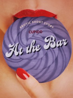 At the Bar - Erotic Short Story