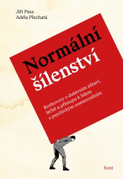 Normální šílenství