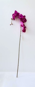 Orchidej 59cm