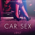 Car Sex - Sexy erotica (EN)