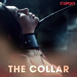 The Collar (EN)