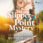 The Slipper-point Mystery (EN)