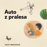 Auto z pralesa