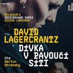 Dívka v pavoučí síti - Milénium IV