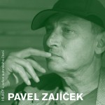 HLASY - Pavel Zajíček