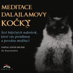 Meditace dalajlamovy kočky