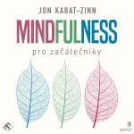 Mindfulness pro začátečníky