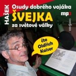 Osudy dobrého vojáka Švejka za světové války