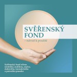 Svěřenský fond - návod k použití aneb Svěřenský fond očima účetního, auditora, znalce, daňového, tra