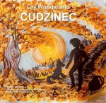 Cudzinec