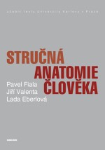 Stručná anatomie člověka