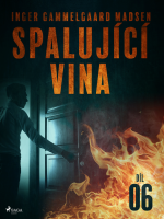 Spalující vina - Díl 6