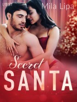 Secret Santa – Erotic Christmas Story