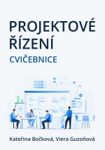 Projektové řízení