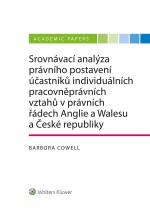 Srovnávací analýza právního postavení účastníků individuálních pracovněprávních vztahů v právních řá