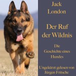 Der Ruf der Wildnis (DE)