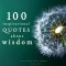 100 Quotes About Wisdom (EN)