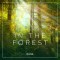 Ambience - In the Forest (EN)