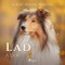 Lad: A Dog (EN)