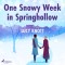 One Snowy Week in Springhollow (EN)