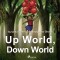 Up World, Down World (EN)