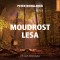 Moudrost lesa