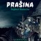 Prašina