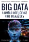 BIG DATA a umělá inteligence pro manažery