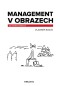 Management v obrazech